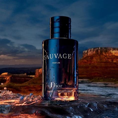 dior sauvage parfum edp|dior sauvage edp smell.